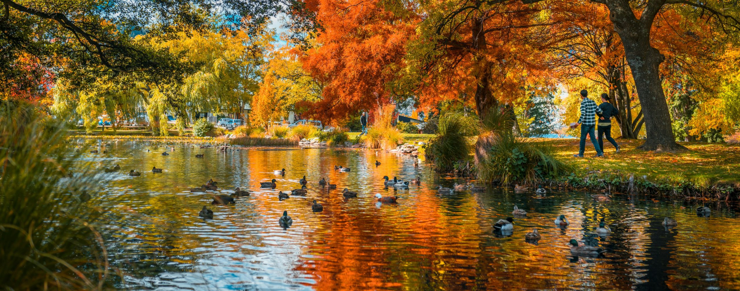 Queenstown Autumn